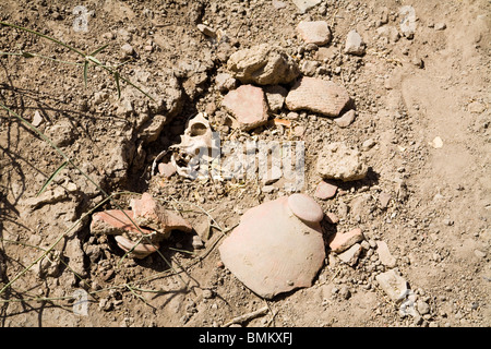 Mali, Djenne, Djenne-Djeno Archaeological Site. Skull and funerary urn remains Stock Photo