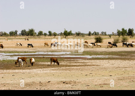 Mali, Djenne, Djenne-Djeno Archaeological Site. Bani River Stock Photo