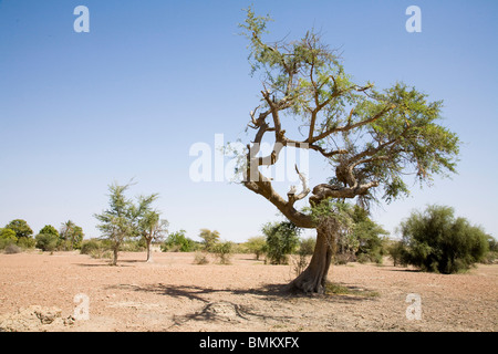 Mali, Djenne, Djenne-Djeno Archaeological Site Stock Photo