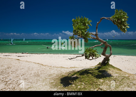 Mauritius, Western Mauritius, Le Morne Peninsula, windsurfers Stock Photo