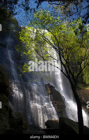 Hogsback, Eastern Cape, Amatole Mountains, South Africa. The Madonna and Child waterfall. Stock Photo