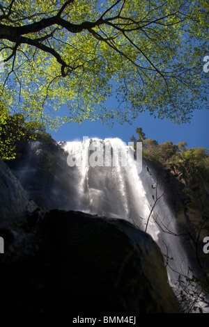 Hogsback, Eastern Cape, Amatole Mountains, South Africa. The Madonna and Child waterfall. Stock Photo