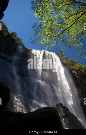 Hogsback, Eastern Cape, Amatole Mountains, South Africa. The Madonna and Child waterfall. Stock Photo