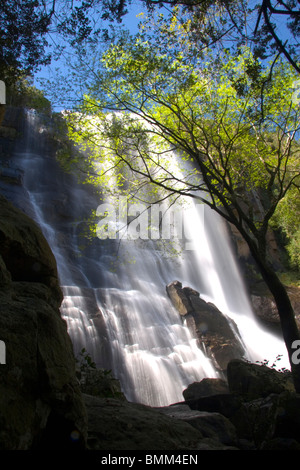 Hogsback, Eastern Cape, Amatole Mountains, South Africa. The Madonna and Child waterfall. Stock Photo