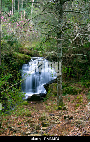 Hogsback, Eastern Cape, Amatole Mountains, South Africa. Hiking to the Madonna and Child waterfall. Stock Photo