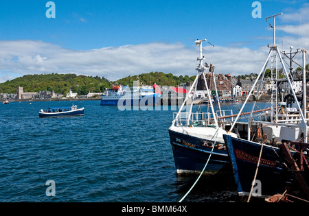 Oban Harbour in Scotland with small cruise ship arriving back and Cruise ship Quest moored at the North Pier and fishing boats Stock Photo