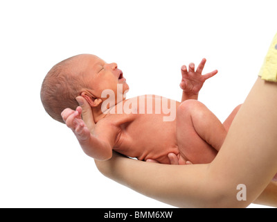 Newborn baby boy in mother's hands. Isolated on white background. Stock Photo