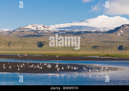 Mountainlandscape with body of water in Snaefellsjökull National Park. Iceland. Stock Photo