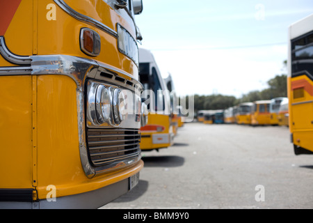 Malta Buses Stock Photo