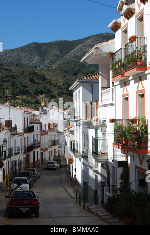 Village street, whitewashed village (pueblo blanco), Alozaina, Malaga Province, Andalucia, Spain, Western Europe. Stock Photo