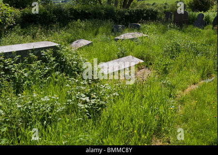 Bethania Chapel with overgrown graveyard for sale by auction between Upper and Lower Chapel north of Brecon Powys Wales UK Stock Photo