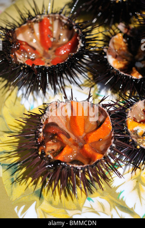 Salento. Puglia. Salento. Italy. Ricci di Mare (Sea Urchins) Stock Photo