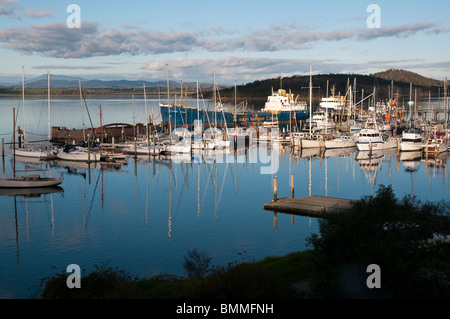 Yachts and the Australian Maritime College ship moored on the Tamar River in Tasmania at Beauty Point near Launceston, Tasmania Stock Photo