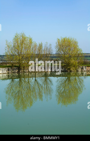 Twyford fishing lake in the vale of evesham country park Stock Photo