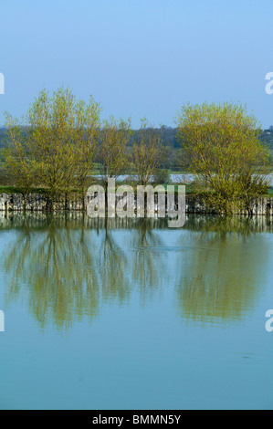 Twyford fishing lake in the vale of evesham country park Stock Photo