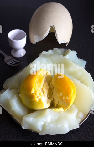 Hard Boiled Ostrich Egg Stock Photo