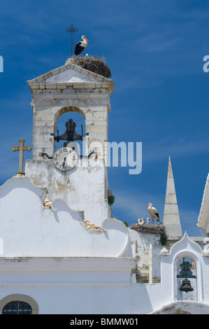 Portugal, Faro, the Arco da Vila in the old town, with storks nesting Stock Photo
