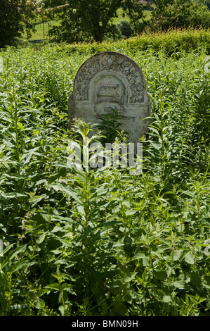 Bethania Chapel with overgrown graveyard for sale by auction between Upper and Lower Chapel north of Brecon Powys Wales UK Stock Photo