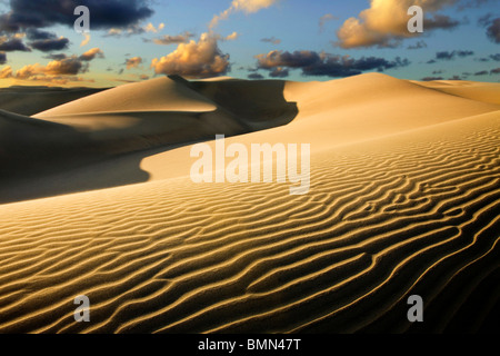 Sand dunes in the desert at dawn. Photograph taken in the Maspalomas sand dunes on Gran Canaria. Stock Photo