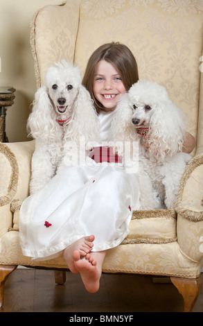 Shot of a Happy Blonde Girl in Large Armchair with Two White French Miniature Poodles Stock Photo
