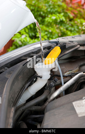 Car windscreen wash water may be the cause of 20% of cases of Legionnaires' Disease says the UK Health Protection Agency Stock Photo