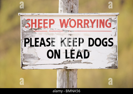 Sign. Sheep worrying. Please keep dogs on lead. Stock Photo