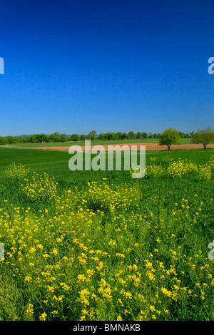 Tractor in Field, he Thomas Farm, Monocacy National Battlefield Park, Frederick, Maryland, USA Stock Photo