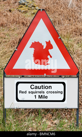 Caution- Red Squirrel crossing road sign. Dundonnell, Wester Ross, Highland, Scotland, UK. Stock Photo