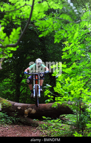 A downhill mountain biker jumps over a fallen tree in woodland Stock Photo