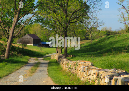 Bloody Lane Trail, Antietam National Battlefield, Sharpsburg, Maryland, USA Stock Photo