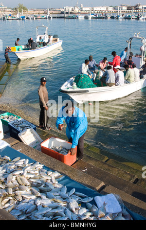 Qatar, Doha Harbour Fish Market Stock Photo