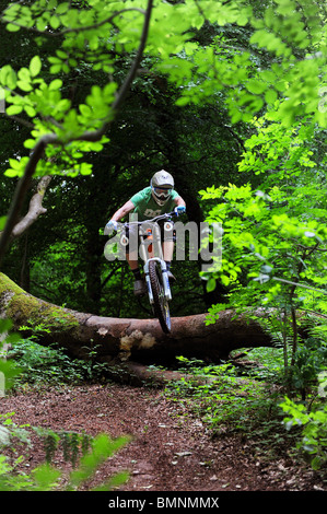 A downhill mountain biker jumps over a fallen tree in woodland Stock Photo