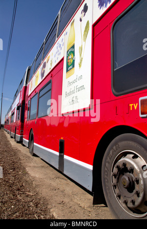 London, Routemaster Bus Stock Photo