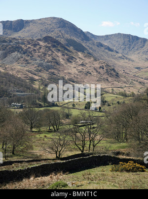 looking towards Great Langdale Fells near to Elterwater in the Lake District National Park Cumbria England Stock Photo