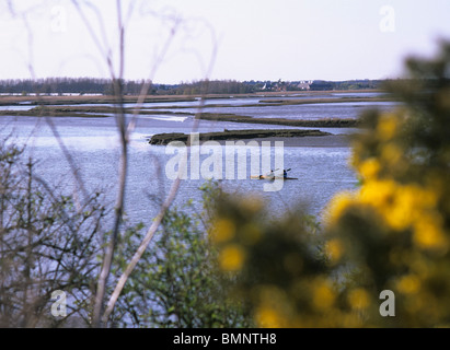 paddling along the River Alde near Iken towards Snape on a spring afternoon Stock Photo