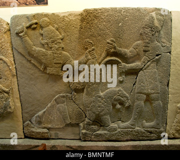 Old Man Lion Stock Photo - Alamy