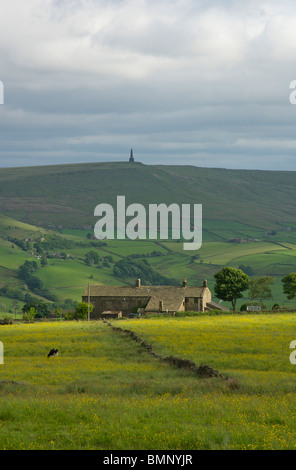 Farmhouse - and Stoodley Pike monument - Calderdale, West Yorkshire, England UK Stock Photo