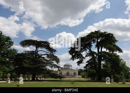 Two lively dogs enjoy the wide open space in front of the northerly aspect of the Neo-Palladian styled Chiswick House. Stock Photo