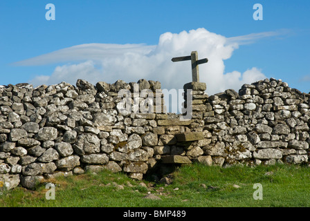 Step stile over wall on Dales Way footpath near Grassington, Wharfedale, Yorkshire Dales National Park, North Yorkshire, England Stock Photo