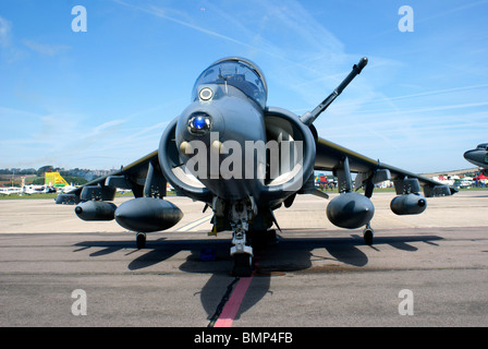 BAe  HARRIER GR.9   ZG503   'JUMP JET' Stock Photo