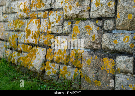 Old Stone Wall Stock Photo