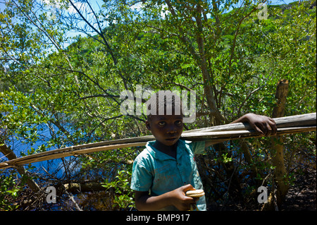 A small boy carrying wood poles in a small village near Pomene, Mozambique, Africa. Stock Photo