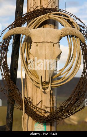 Steer skull, barbed wire, and lasso rope on eastern Oregon ranch, USA Stock Photo