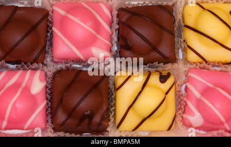 French Fancies Stock Photo