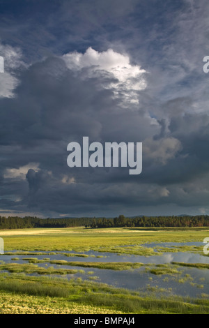 Thunderstorm over Lower Lake Mary, summer monsoon season, Coconino National Forest, Flagstaff, Arizona, USA Stock Photo