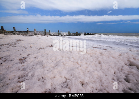 Sea Foam on Walcot Beach, Norfolk  UK Stock Photo