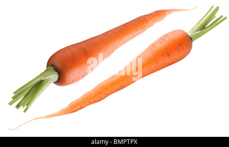 Ripe fresh carrots on a white background. Stock Photo