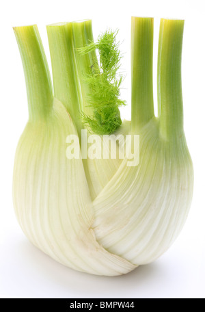 Ripe fennel isolated on a white background. Stock Photo