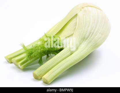 Ripe fennel isolated on a white background. Stock Photo