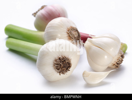 young garlic on a white background Stock Photo